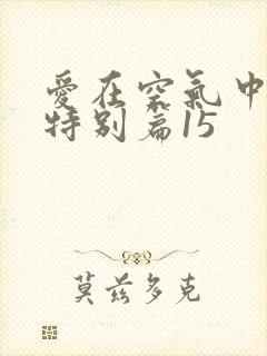 爱在空气中泰剧特别篇15