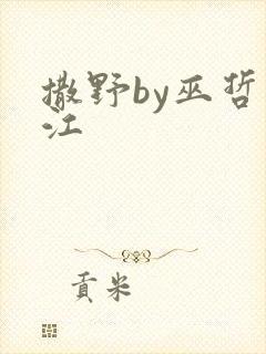 撒野by巫哲晋江