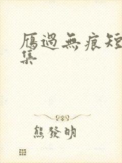 雁过无痕短剧全集