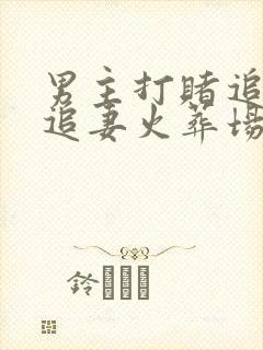 男主打赌追女主追妻火葬场