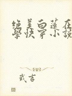 绝美白莲在线教学快穿小说