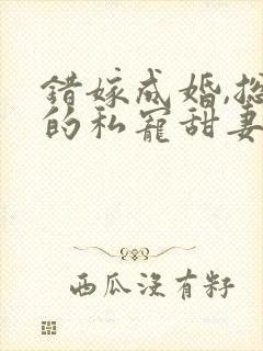 错嫁成婚,总裁的私宠甜妻