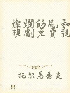 灿烂的风和海电视剧免费观看全集