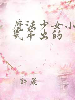 魔法少女小圆几几年出的