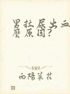 男拉尿出血是什么原因?