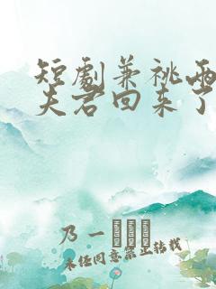 短剧兼祧两房后夫君回来了