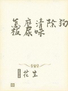 怎么清除狗狗地板尿味