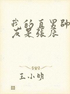 我的直男帅哥室友是张辰