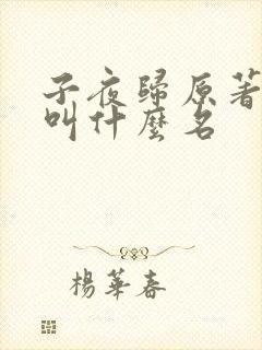 子夜归原著小说叫什么名