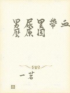 男尿里带血是什么原因