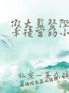 假太监替陛下宠幸后宫的小说