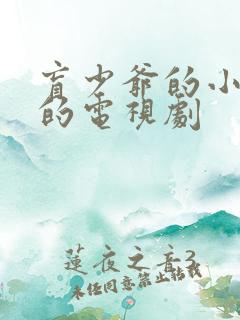 盲少爷的小女仆的电视剧