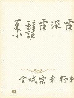 夏稚霍深霍栖野小说