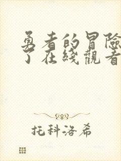 勇者的冒险结束了在线观看