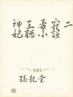 神王毒宠二嫁王妃听小说
