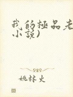 我的极品老婆(小说)