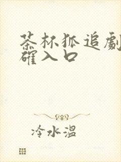 茶杯狐追剧网正确入口