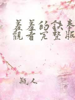 羞羞的铁拳在线观看完整版