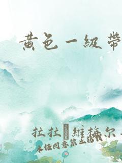 黄色一级带午夜