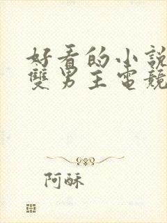 好看的小说推荐双男主电竞