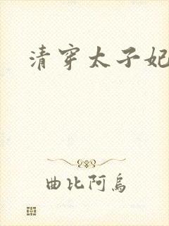 清穿太子妃