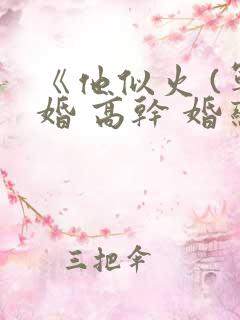 《他似火 (军婚 高干 婚恋)》