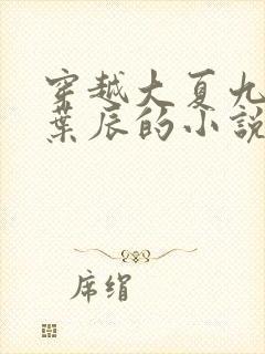 穿越大夏九皇子叶辰的小说