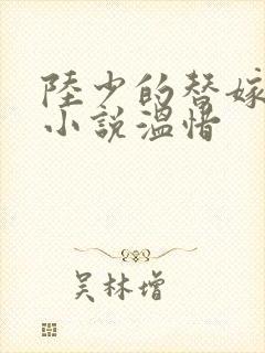 陆少的替嫁宠妻小说温惜