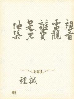 他是谁电视剧全集免费观看完整版