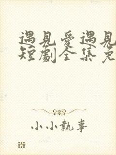 遇见爱遇见幸福短剧全集免费看