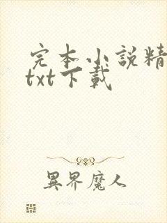 完本小说精校版txt下载