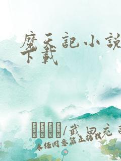 魔天记小说完整下载