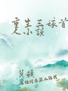 重生三嫁首长大人小说