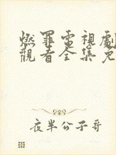 燃罪电视剧在线观看全集免费播放