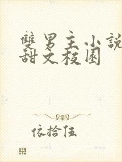 双男主小说推荐甜文校园