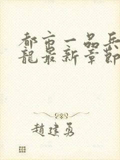 都市一品兵王秦龙最新章节