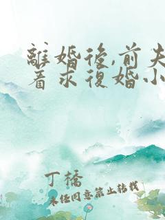 离婚后,前夫哭着求复婚小说阅读