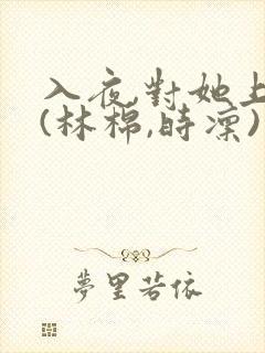 入夜,对她上瘾(林棉,时凛)