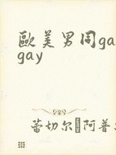 欧美男同gaygay