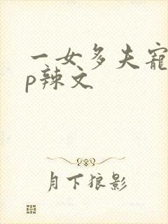 一女多夫宠文np辣文