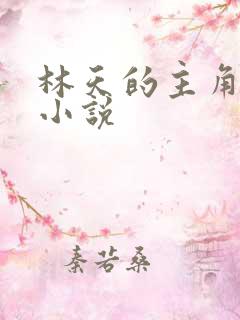 林天的主角名的小说