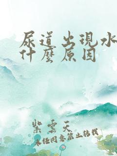 尿道出现水泡是什么原因