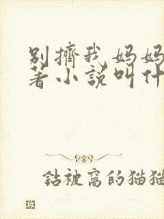 别挤我妈妈了原著小说叫什么名字