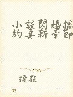 小说闪婚总裁契约妻新章节列表