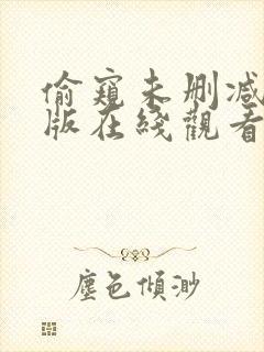 偷窥未删减完整版在线观看