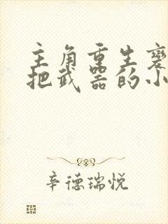 主角重生变成一把武器的小说