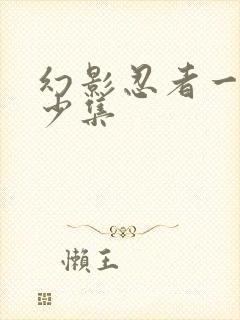 幻影忍者一共多少集