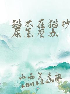 猫不在猫砂里拉尿怎么办