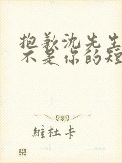 抱歉沈先生孩子不是你的短剧免费