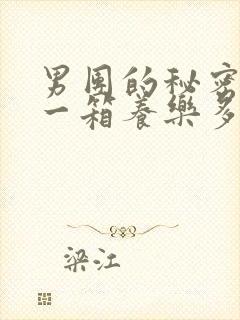 男团的秘密BY一箱养乐多小说